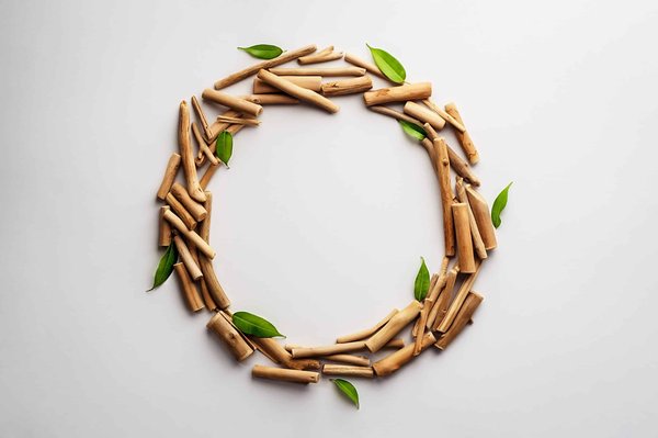 Comment développer un programme d'éducation environnementale axé sur la conservation des forêts tropicales ?
